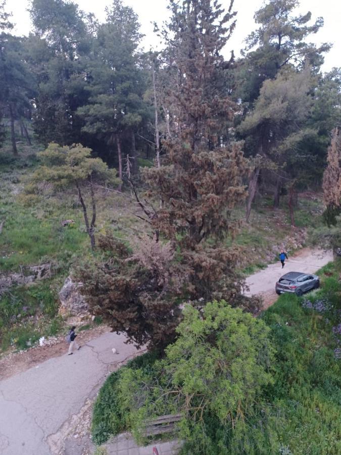 Ένα Μέρος Για Ήσυχες Διακοπές Apartman Joánina Kültér fotó